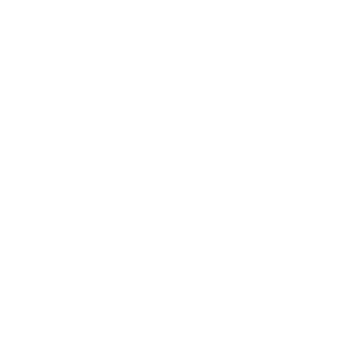 Strategic Impact Partners